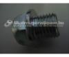 Suzuki csavar olajleereszt benzines suzuki lt.swi,wr+,ignis,vitara,samurai,liana,jimny, daewoo,maruti = 09247-14041