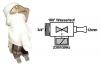 Mosgp alkatrsz ELEKTROMOS SZELEP 1 UTAS 180 12MM ew02137