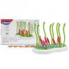 Chicco 65357.3 cumisveg szrt