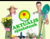 Akkumultoros fnyr oll ClassicCut 8885