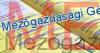 Budapest Mezgazdasgi Gp