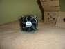 ELAD Ht ventiltor!