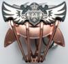 Asus Royal Knight processzor ht
