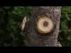 Bosch lncfrsz bemutat [with ENGLISH...