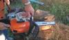 Nyzprbn Stihl MS 211 lncfrsz