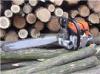 Hirdetsek Stihl MS460 lncfrsz Mezgazdasgi gp