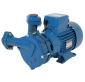 Elpumps CP 207 centrifugl szivatty