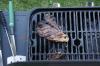 License to Grill