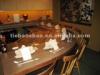 Catering equipment shawarma grill for restaurant and hotel