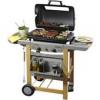 Campingaz Expert 2 Woody Advantage lvakves grill