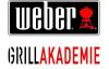 Weber Q 200 Stand fr Q 200 220 240 Grill Tisch 6517