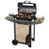 Campingaz expert 2 super grill