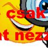 Zanussi ZOB 10401XK bepthet elektromos st