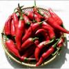 Fszerpaprika szrtsa s rlse hzilag