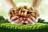 10 Pellet kazn elad
