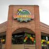 Toadies Bar and Grill