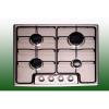 ICF Inox Gz Fzlap 483HXX6044SP1