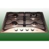 ICF inox gz fzlap