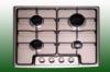 Inox gz fzlap ICF