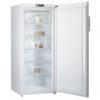 Gorenje fagyasztszekrny F6151AW