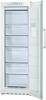 BOSCH GSN28V23 Fagyasztszekrny fehr