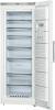 Bosch GSN58AW30 fagyasztszekrny