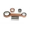 BABETTA FTENGELY JAVT /210/