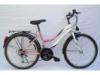 Neuzer FullBike MTB City 18S 26 ni kerkpr