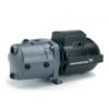 Grundfos JPBasic szivatty