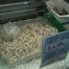 Ortega 39 s Fish Grill