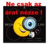 Electrolux EHH 6540FOK csiszolt keret bepthet indukcis fzlap