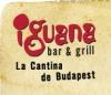 Iguana Bar & Grill