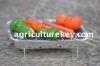 DISPOSABLE INSTANT BBQ Grill