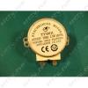 Tnyrforgat motor (univerzlis) (TY49III)(49TYZ-42)(H081)3,5-4 W 2,5-5rpm 230V AC (49TYZ-A2) (FMO120)