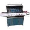 Outdoor kitchen 6+1 burner stainless steel gas grill