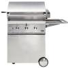 DCS BGB30BQRN BGB30 CSS 30 Inch Built in Gas Grill Heavy Duty Rotisserie Smart Beam Grill Light Natural Gas