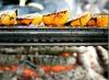 Cook Every Course of Summer Meals on the Grill