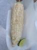 Licensed 2 Grill Mexican style corn on the cob
