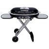Paul Jr Designs Coleman RoadTrip Grill