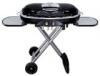 Paul Jr. Designs Coleman RoadTrip Grill