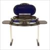 Buy Coleman RoadTrip 2-Burner Grill w/Stand