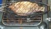 Tipps fr Fisch auf dem Grill