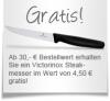 Pizzastein Set fr Lotus Grill XL
