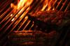 BARBECUE PIT GRILL AND SMOKE THERMOMETERS