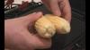 Cooking Corn On The George Foreman Grill