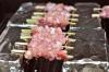 How To Make a Budget Yakitori Grill