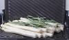 Grill die asperges eens