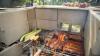 Cinder Block Grill and Pizza Oven