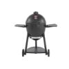 6719 Series Kamado Charcoal Grill