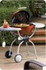 D Weber 22 Platinum Series One Touch Kettle Grill